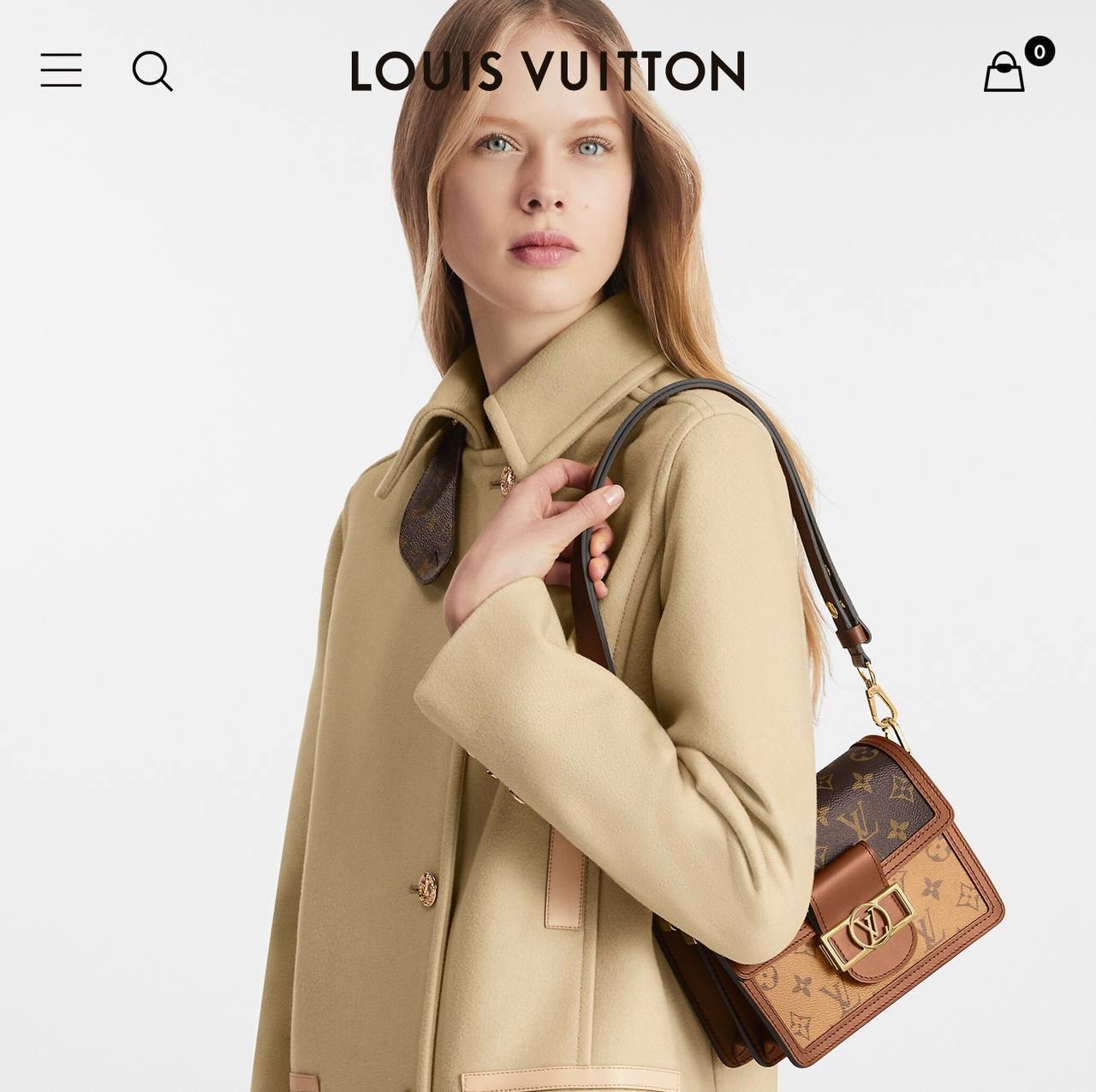 Сумка LV